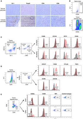 Deciphering the Crosstalk Between Myeloid-Derived Suppressor Cells and Regulatory T Cells in Pancreatic Ductal Adenocarcinoma